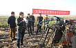 天津市农机推广总站组织召开“大葱收获机械化技术现场演示会”