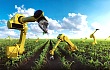 农业的未来，真要用机器人取代农民吗？