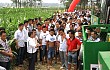 五征玉米收获机演示会在河南举行