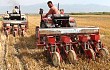 新疆焉耆重点示范推广小麦玉米免耕机械播种施肥技术