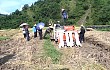 田林县农机局举行水稻生产全程机械化机收现场会