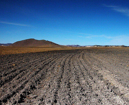 中国农村土地弃耕现象严重 投资者伺机套取补贴