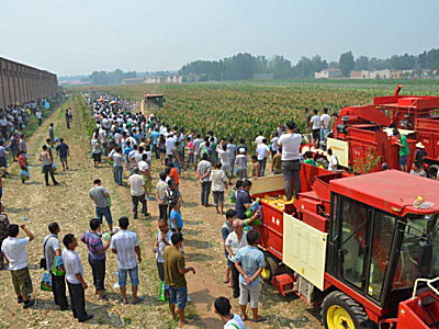 河北冀新穗茎兼收玉米收获机现场演示会在邢台举行