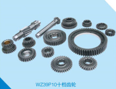 兴化东华WZ39P10十档齿轮