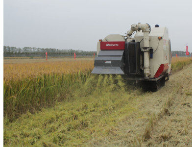 盐城“环保节能、秸杆还田”全新收割机技术演示推广会。