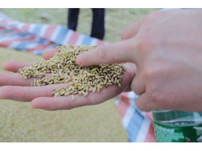 盐城“环保节能、秸杆还田”全新收割机技术演示推广会。