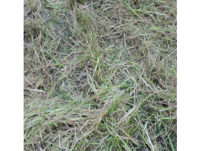 盐城“环保节能、秸杆还田”全新收割机技术演示推广会。