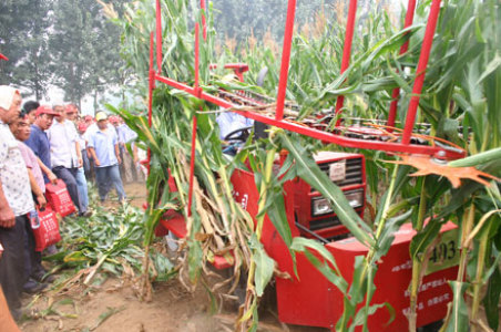 农哈哈4G-1C玉米秸秆收割机