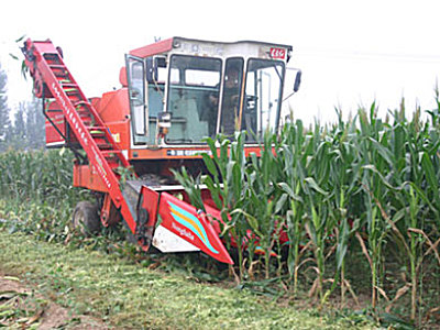 农哈哈4YB-4小麦机底盘互换割台型玉米收割机