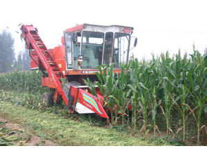 农哈哈4YB-4小麦机底盘互换割台型玉米收割机