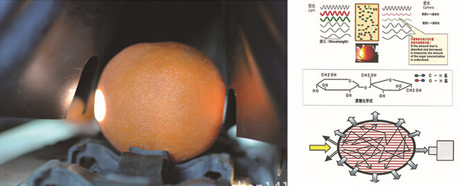 江西绿萌SECC-11水果糖酸度光电分选机