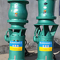 環球QS環球系列潛水泵