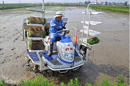 东风井关pz60dt乘坐式水稻插秧机