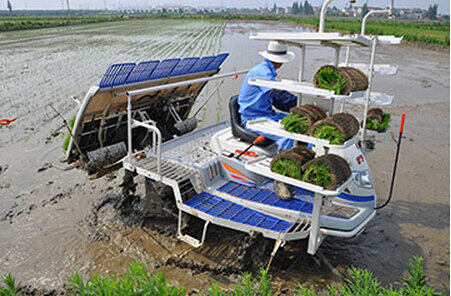 东风井关pz60dt乘坐式水稻插秧机