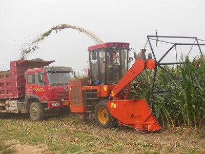 河北冀宏達(dá)4QZ-3000青飼料收獲機(jī)