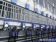 并列式挤奶厅
