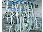 pipeline管道式挤奶机