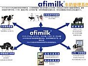 computer计算机挤奶系统