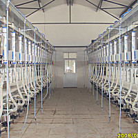 广州万日Parataxis大型并列式挤奶机