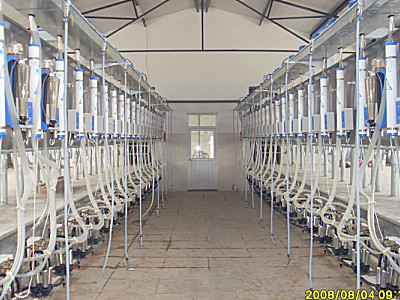 广州万日大型并列式挤奶机