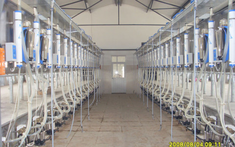 广州万日大型并列式挤奶机