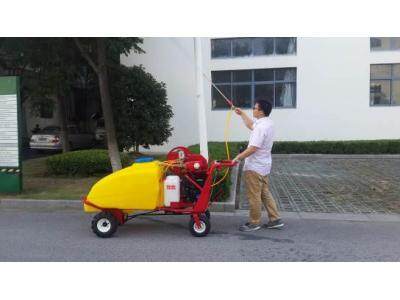 瓦力3WZ38-300H手扶自走式动力喷雾机