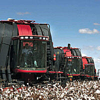 凱斯Cotton Express 635采棉機