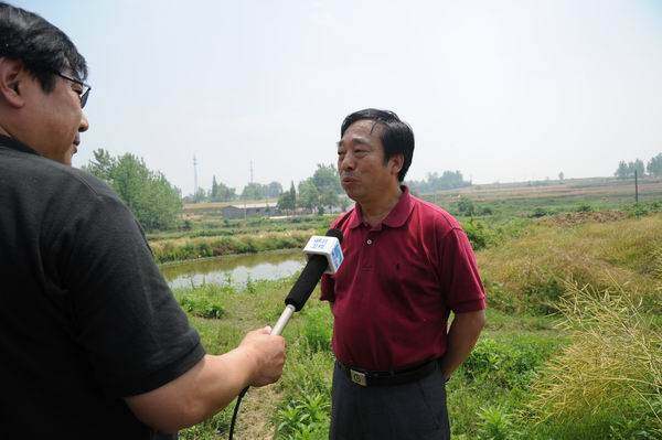 省油菜办甘玉华主任在现场接受湖北卫视记者采访