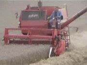 爱科MF440型收割机