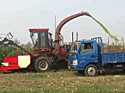 中农博远4QZ-2800青贮饲料收获机作业视频