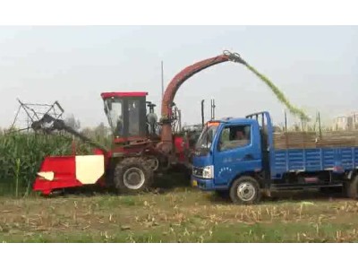 中農博遠4QZ-2800青貯飼料收獲機作業視頻