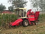 中农博远4YZ-3H自走式玉米联合收获机作业视频