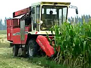 中农博远4YZ-3B玉米收获机作业视频