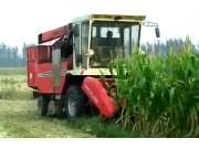 中农博远4YZ-3B玉米收获机作业视频