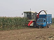 中农博远4YZ-4AH玉米收割机