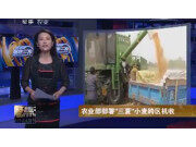 中联农业部部署“三夏”小麦跨区机收作业视频