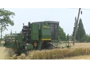 中联重科谷王TB60小麦机在四川实地作业视频
