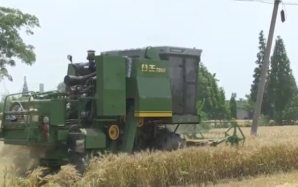 中联重科谷王TB60小麦机在四川实地作业视频
