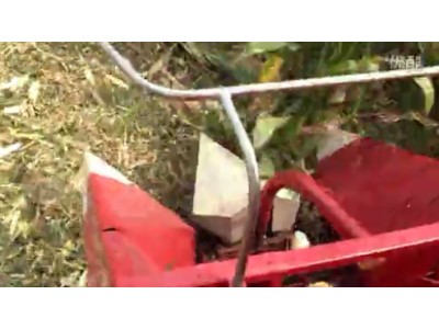 河北冀新牌玉米收割机作业视频