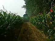 时风玉米收割机1作业视频