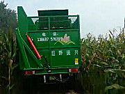 时风玉米收割机2作业视频