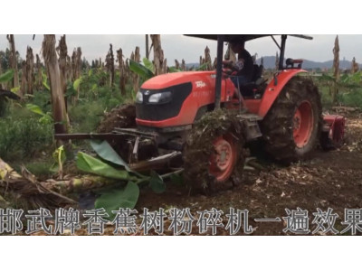 邯武香蕉树粉碎机作业视频