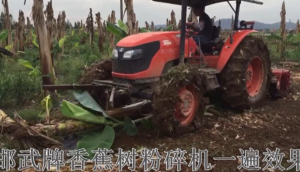 邯武香蕉树粉碎机作业视频