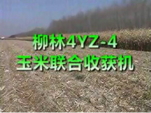 柳林4YZ-4玉米联合收获机作业视频