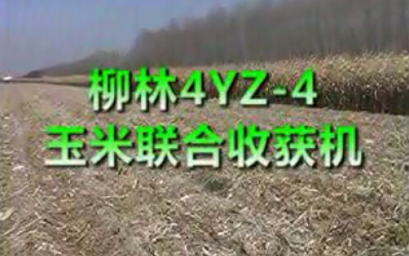 柳林4YZ-4玉米联合收获机作业视频