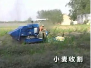 柳林小麦收割机作业视频