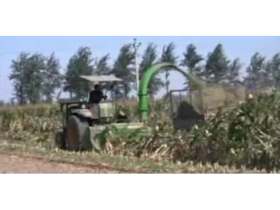 中農博遠4QZ-8青貯收獲機作業視頻