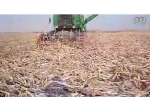 约翰迪尔3518配套【天人割台】收获倒伏玉米作业视频