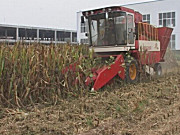 豪丰4YZ-4型自走式玉米收获机作业视频
