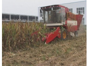 豪丰4YZ-4型自走式玉米收获机作业视频
